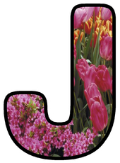 Dekobuchstaben-Tulpe_J.jpg